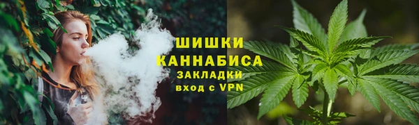 ГАЛЛЮЦИНОГЕННЫЕ ГРИБЫ Абаза