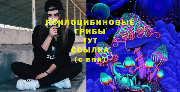 соль ск Алексеевка